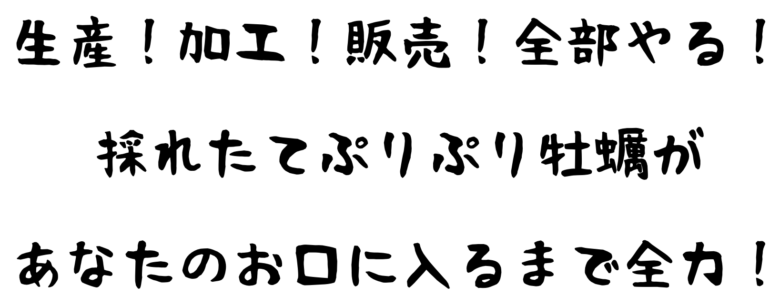 生産!加工!販売!全部やる!採れたてぷりぷり牡蠣があなたのお口に入るまで全力!